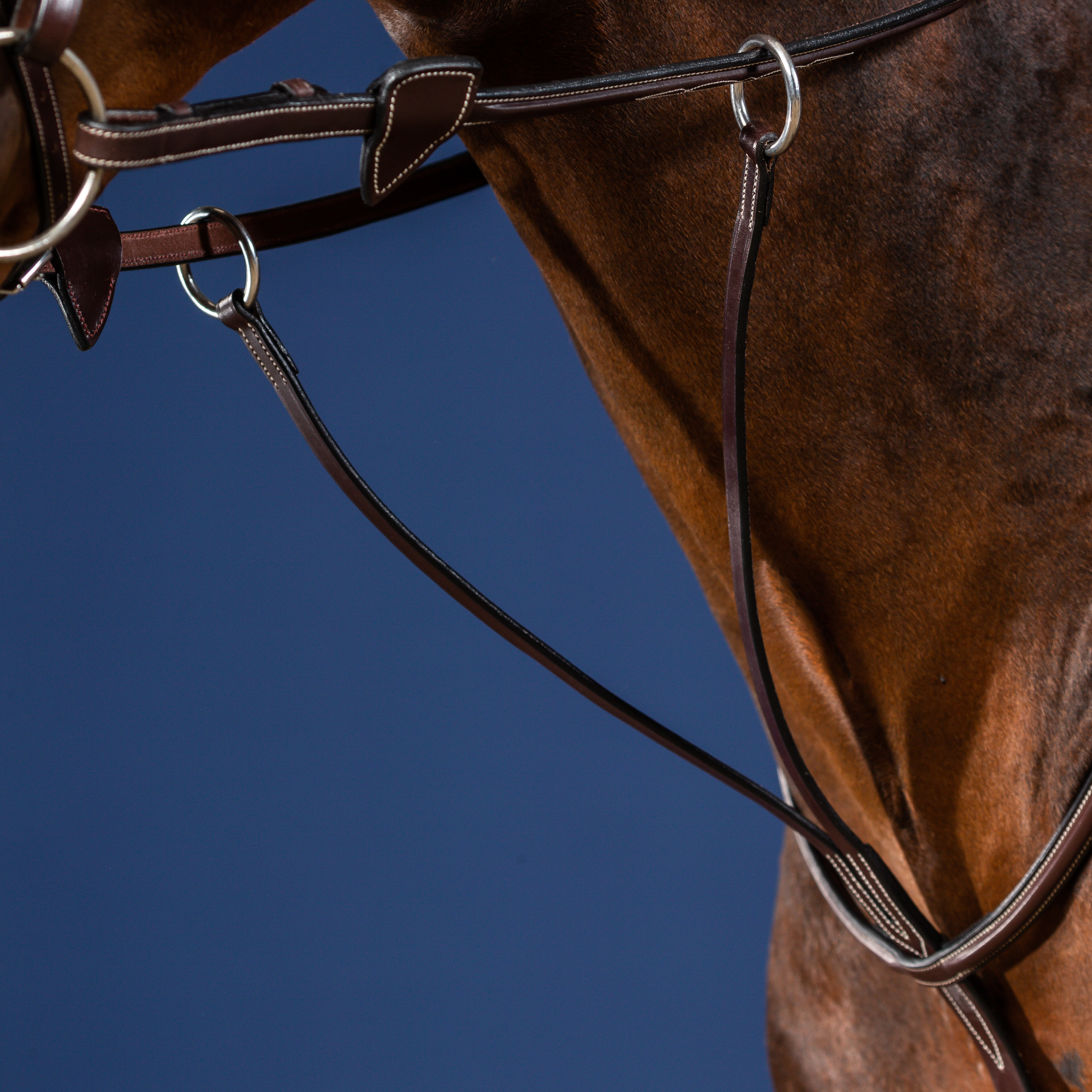 Dy'on Running Martingale, Brown, US Collection
