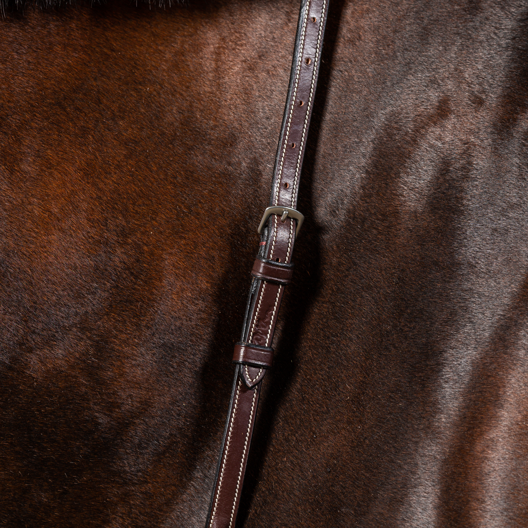 Dy'on Running Martingale, Brown, US Collection