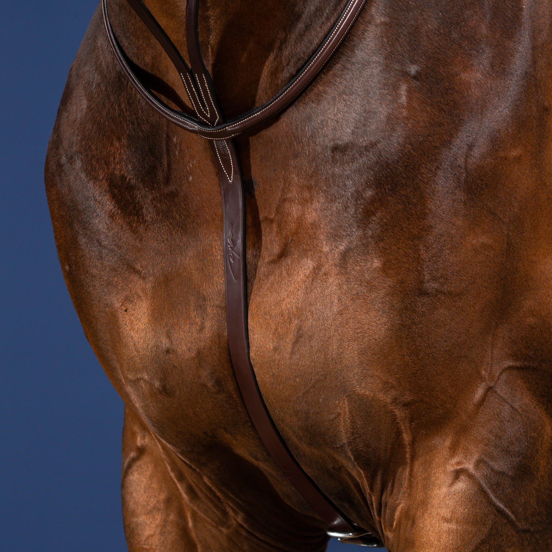 Dy'on Running Martingale, Brown, US Collection