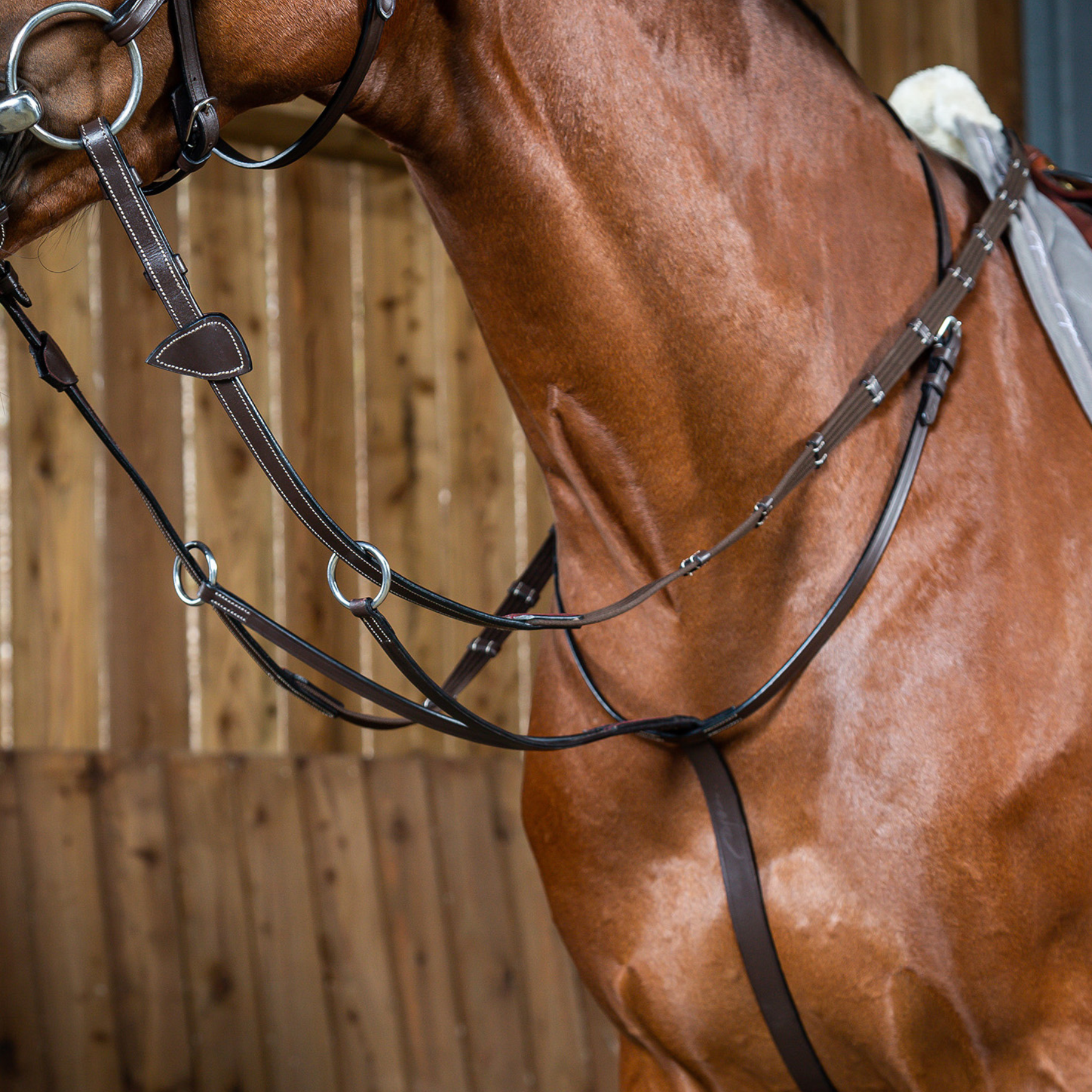Dy'on Running Martingale, Brown, Working By Dy'on