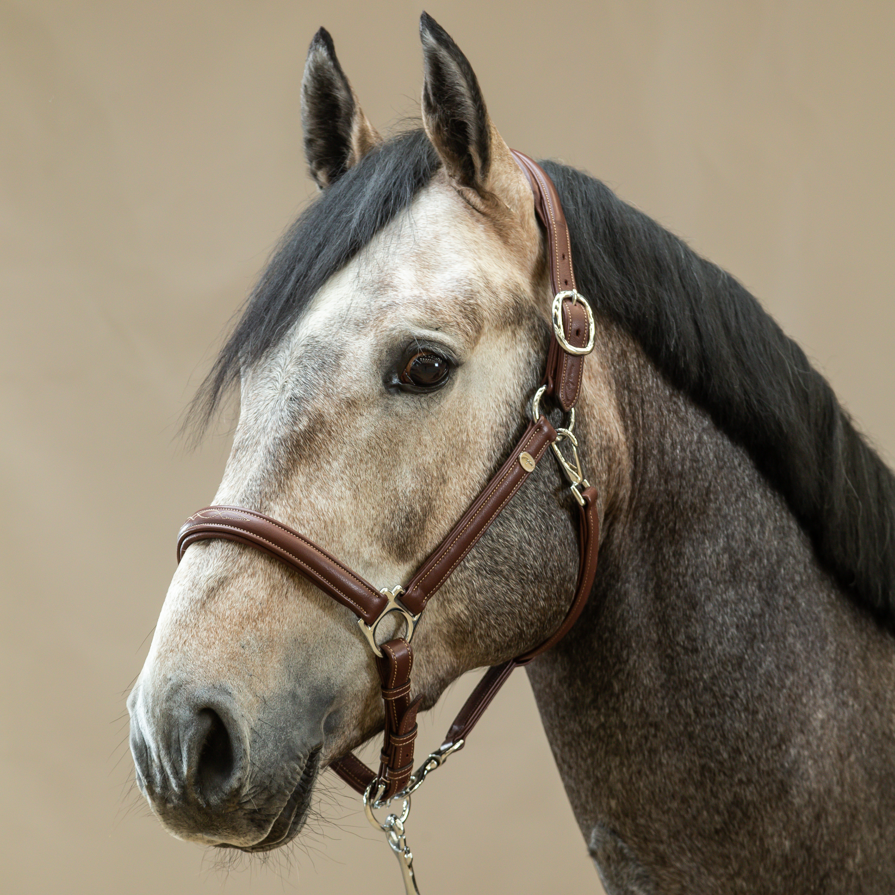 Dy'on Soft Leather Head Collar (Halter) Brown, Working By Dyon