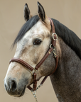 Dy'on Soft Leather Head Collar (Halter) Brown, Working By Dyon