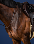 Dy'on Standing Martingale, Brown, US Collection