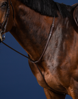 Dy'on Standing Martingale, Brown, US Collection