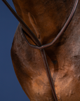 Dy'on Standing Martingale, Brown, US Collection