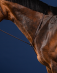 Dy'on Standing Martingale, Brown, US Collection