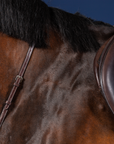 Dy'on Standing Martingale, Brown, US Collection