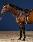 Dy'on Standing Martingale, Brown, US Collection
