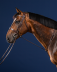 Dy'on Standing Martingale, Brown, US Collection