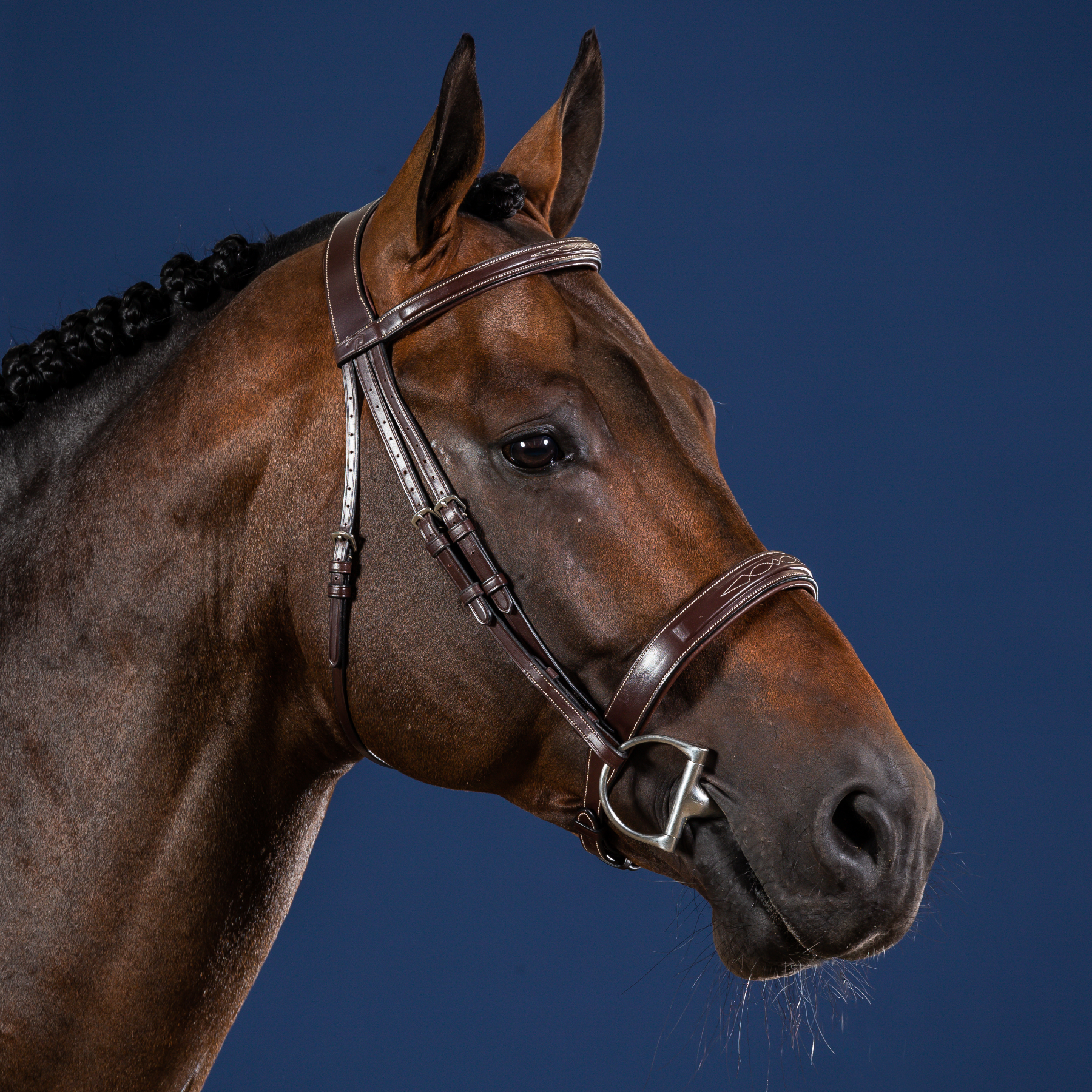 Dy'on Wide Noseband Hunter Bridle, Brown, US Collection