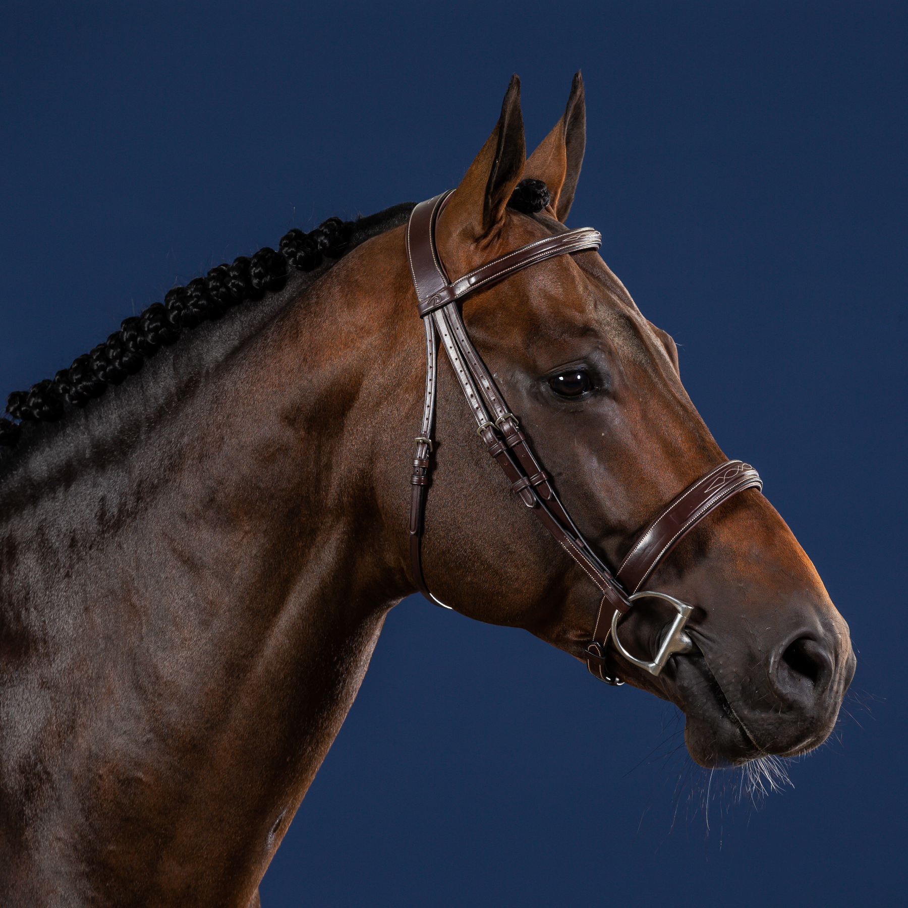 Dy'on Wide Noseband Hunter Bridle, Brown, US Collection