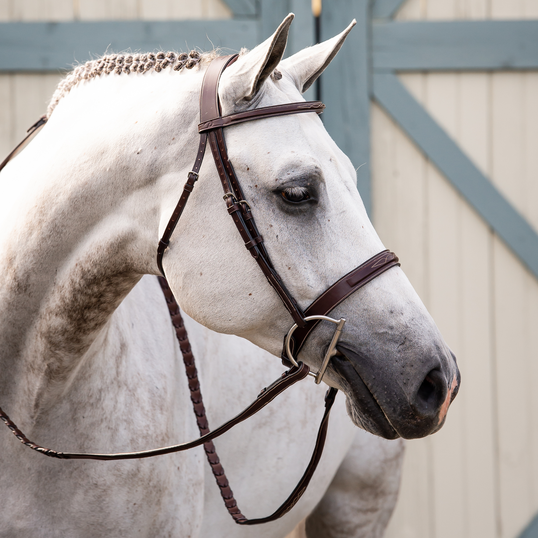 Dy'on Wide Noseband Hunter Bridle, Brown, US Collection