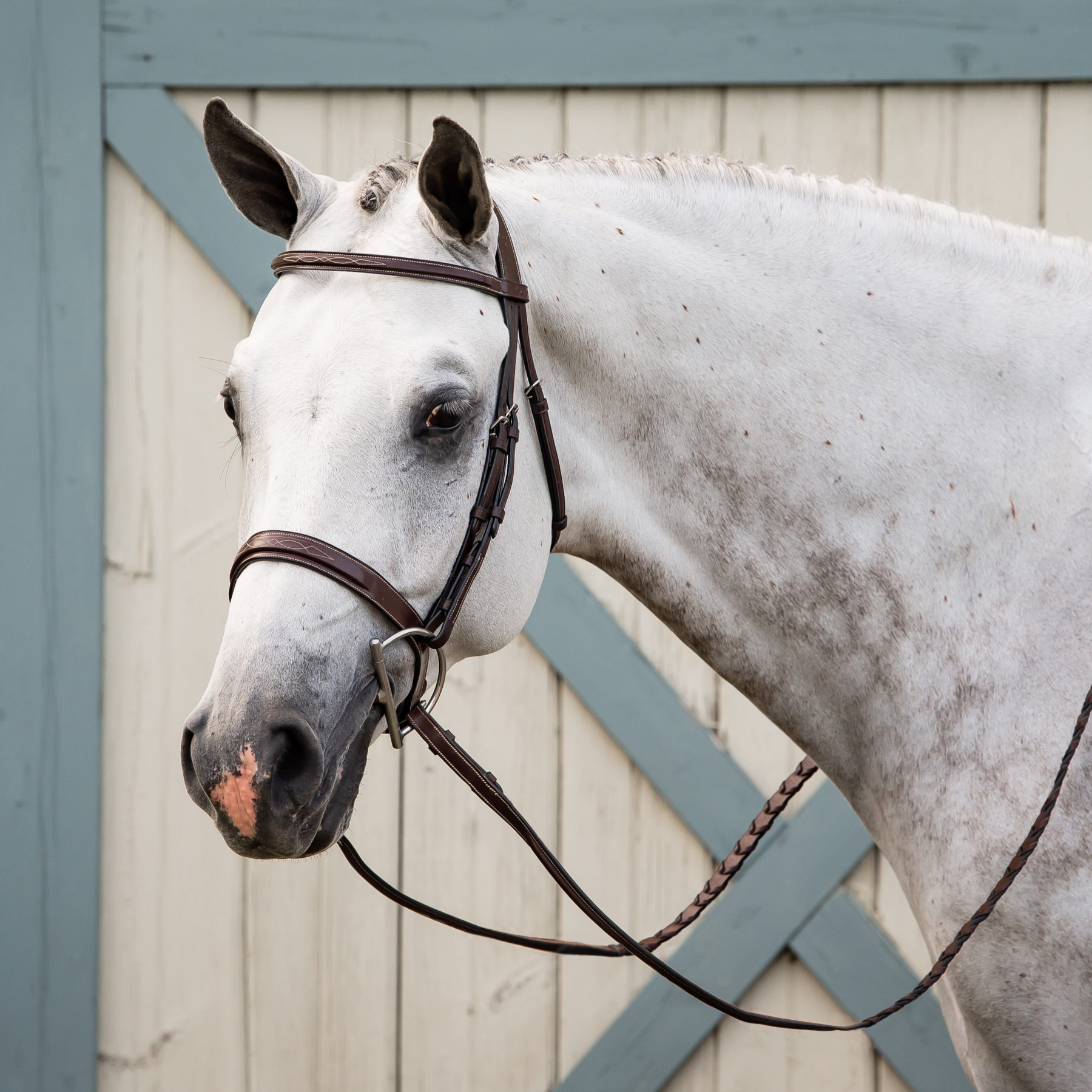 Dy'on Wide Noseband Hunter Bridle, Brown, US Collection