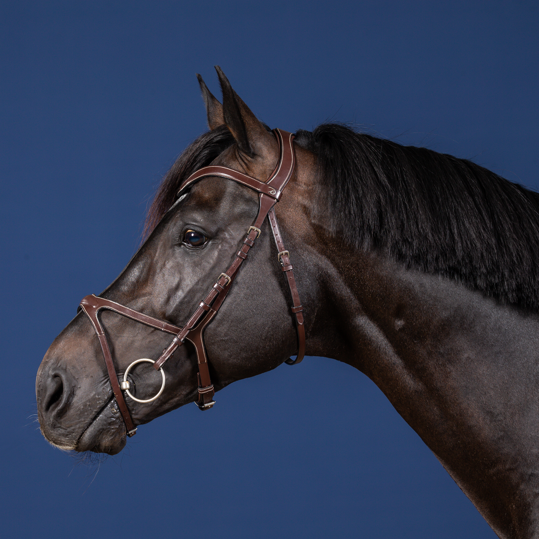 Dy'on X-Fit Bridle, Brown, US Collection