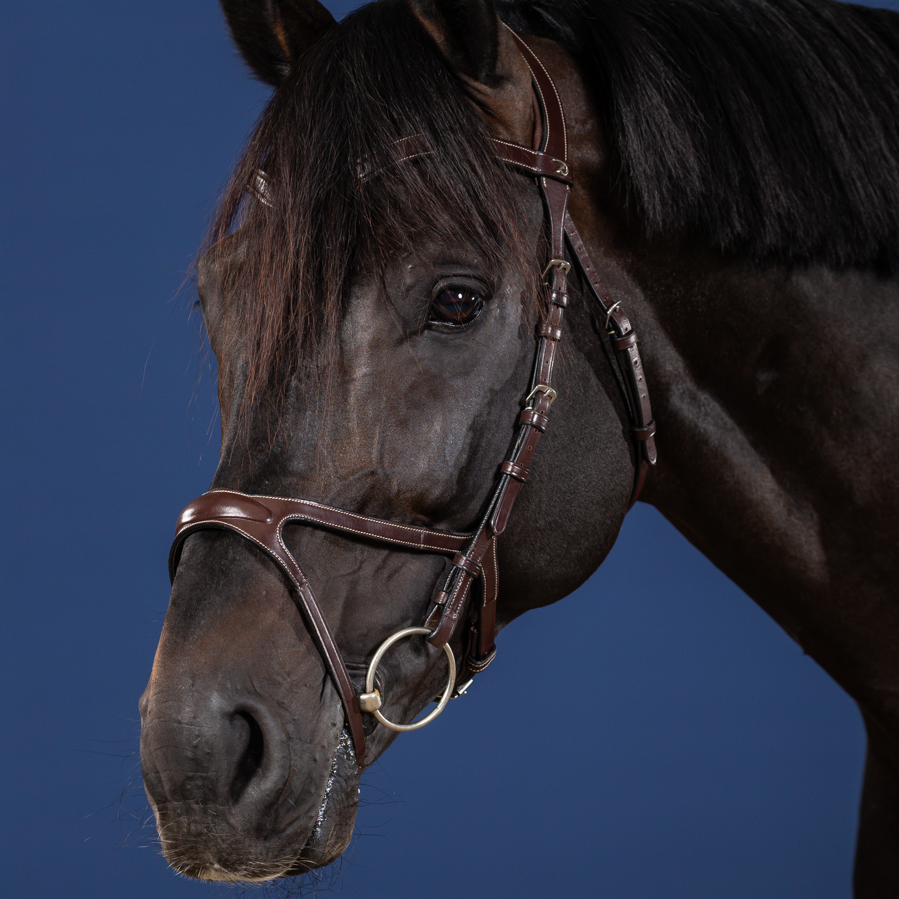 Dy'on X-Fit Bridle, Brown, US Collection