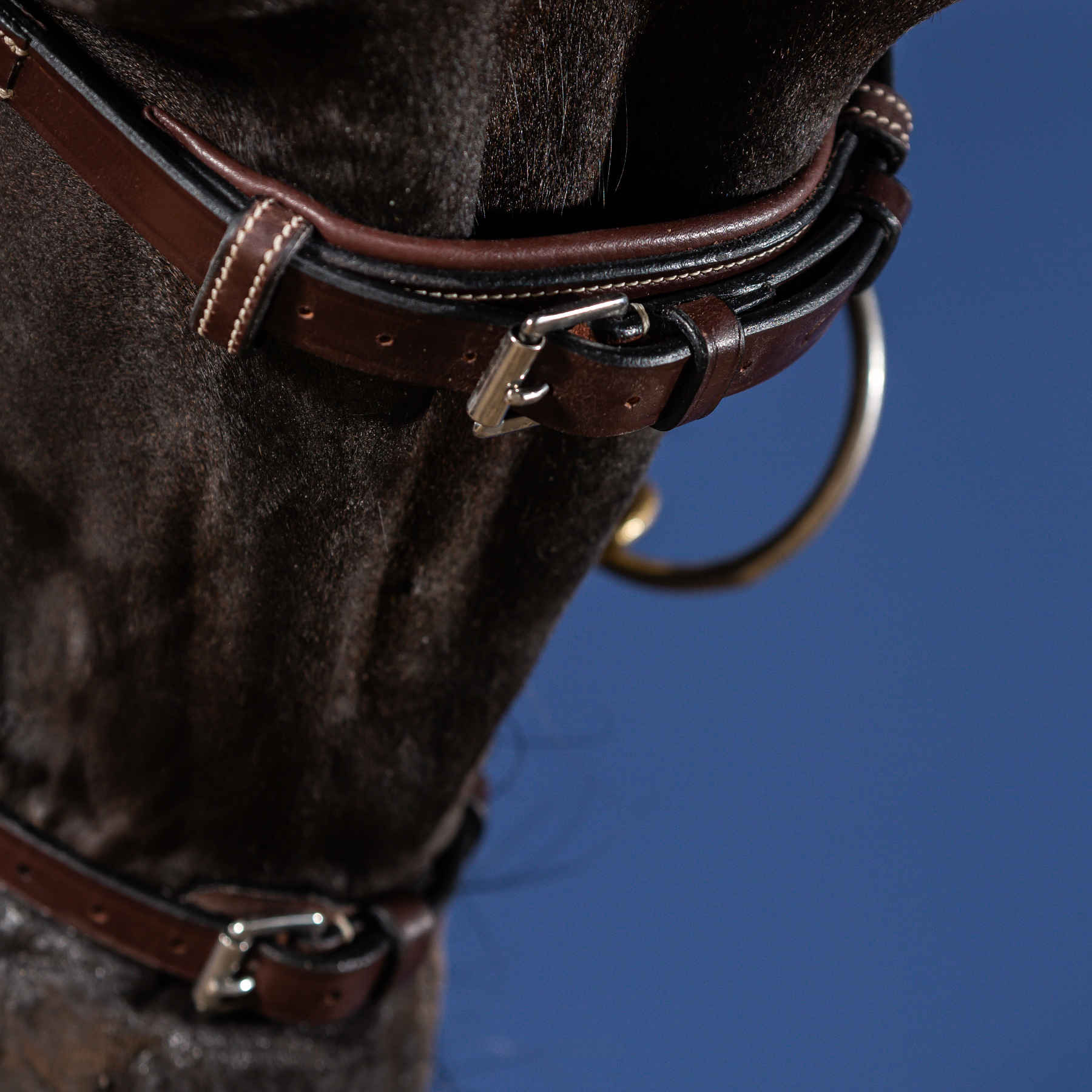 Dy'on X-Fit Bridle, Brown, US Collection