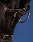 Dy'on X-Fit Bridle, Brown, US Collection