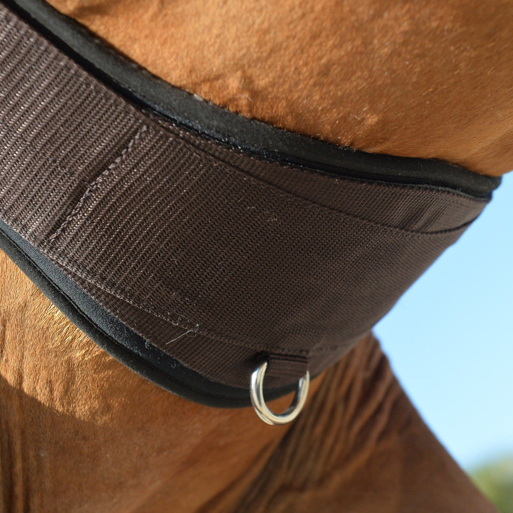 Equifit Essential Schooling Girth w Sheepswool Liner, Brown