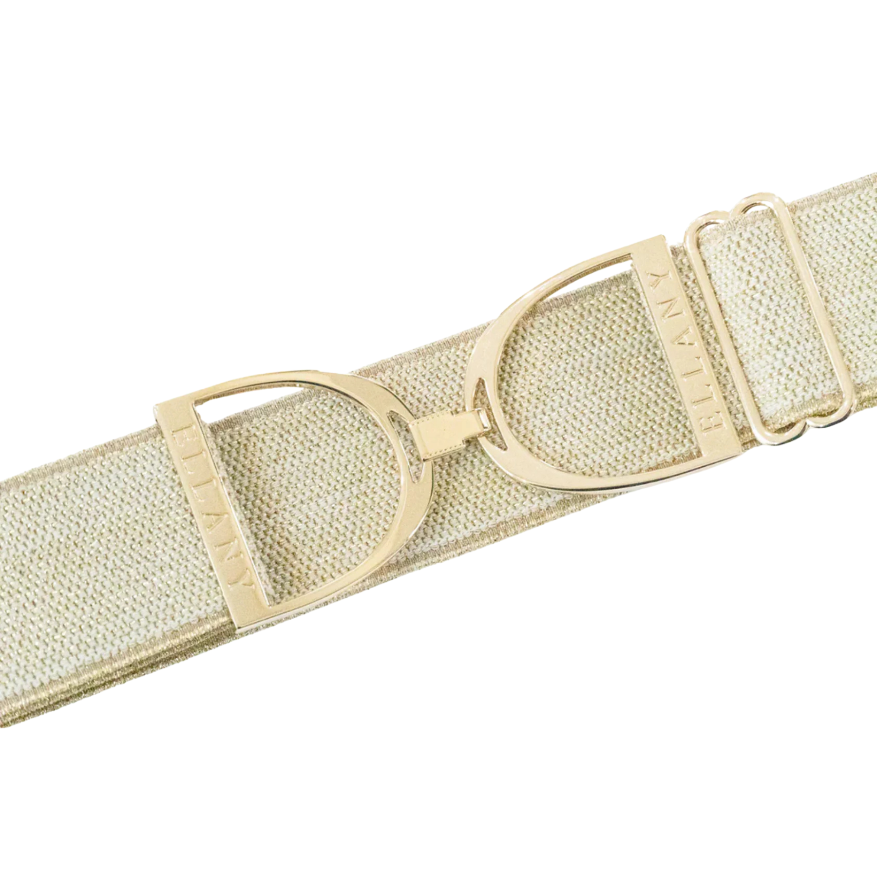 Ellany 2" Gold Stirrup Elastic Belt, Gold Dakota