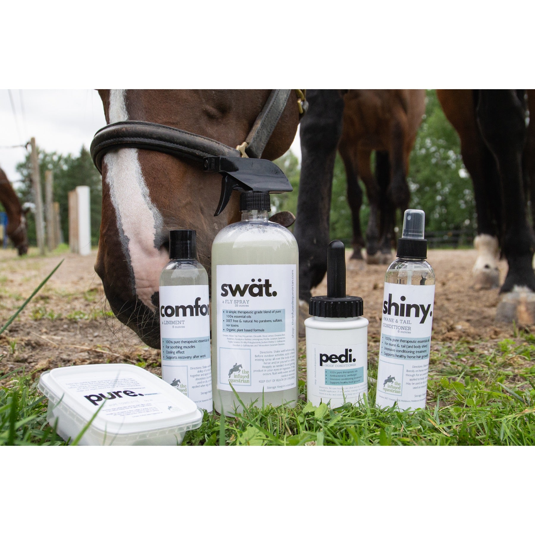 The Infused Equestrian show & go. A Fully Infused Bundle