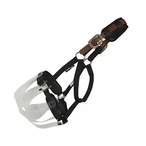 Thinline Grazing Muzzle Horse Halter