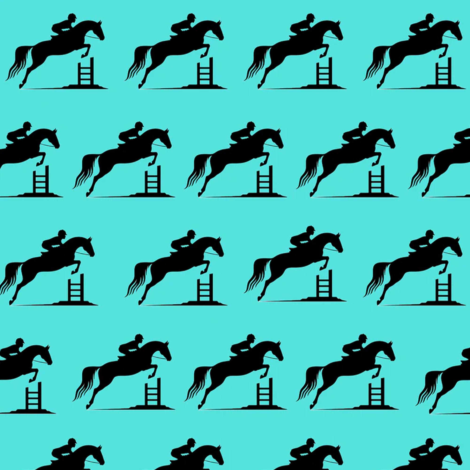 Hocsocx Hunter Aqua ShowSocx