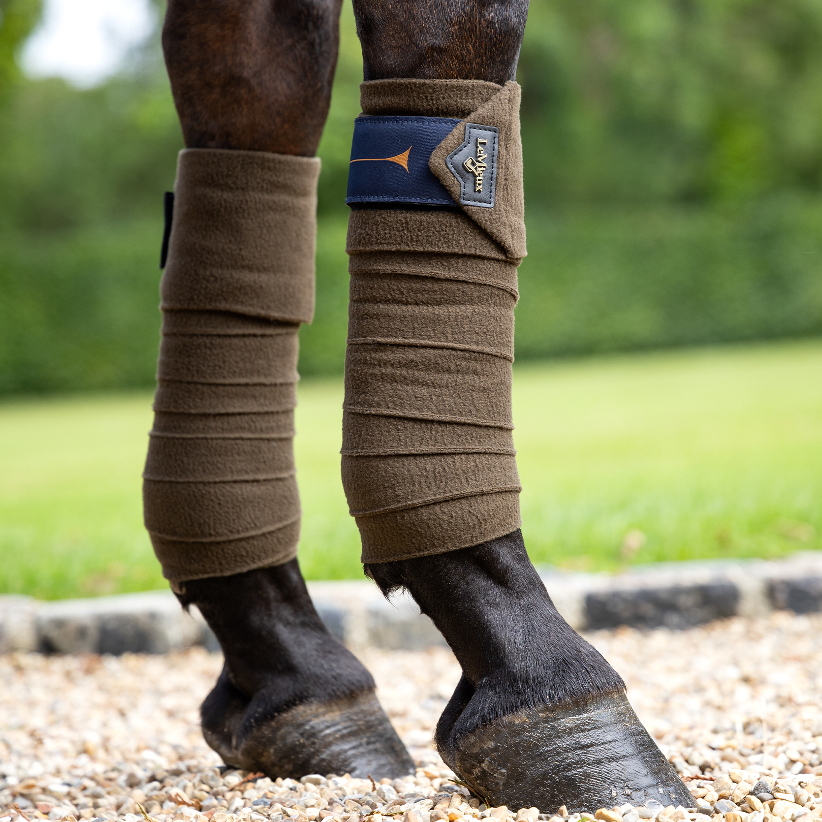 LeMieux Polo Bandages, Alpine