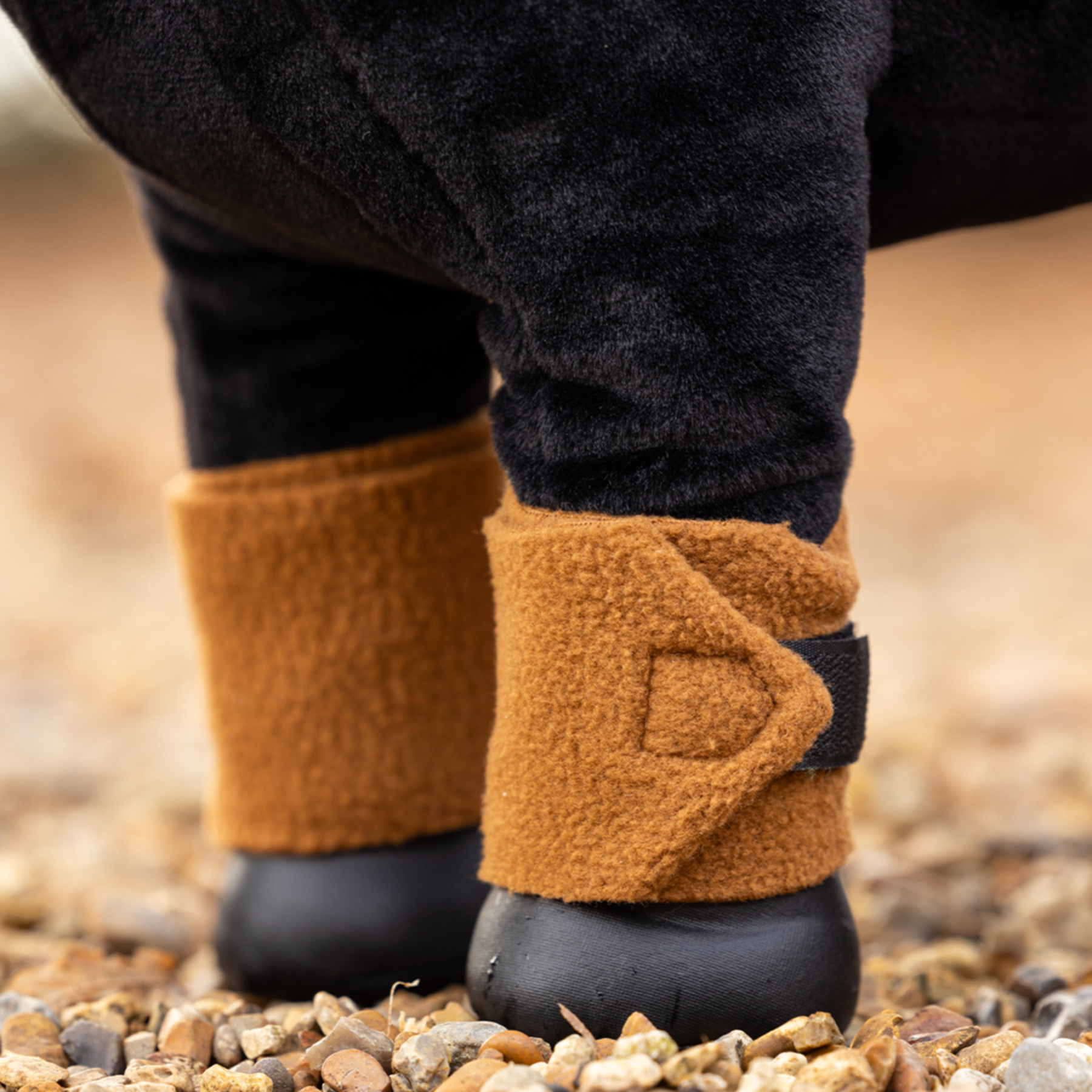LeMieux Toy Pony Bandages, Ginger