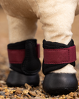 LeMieux Toy Pony Grafter Boots, Ember