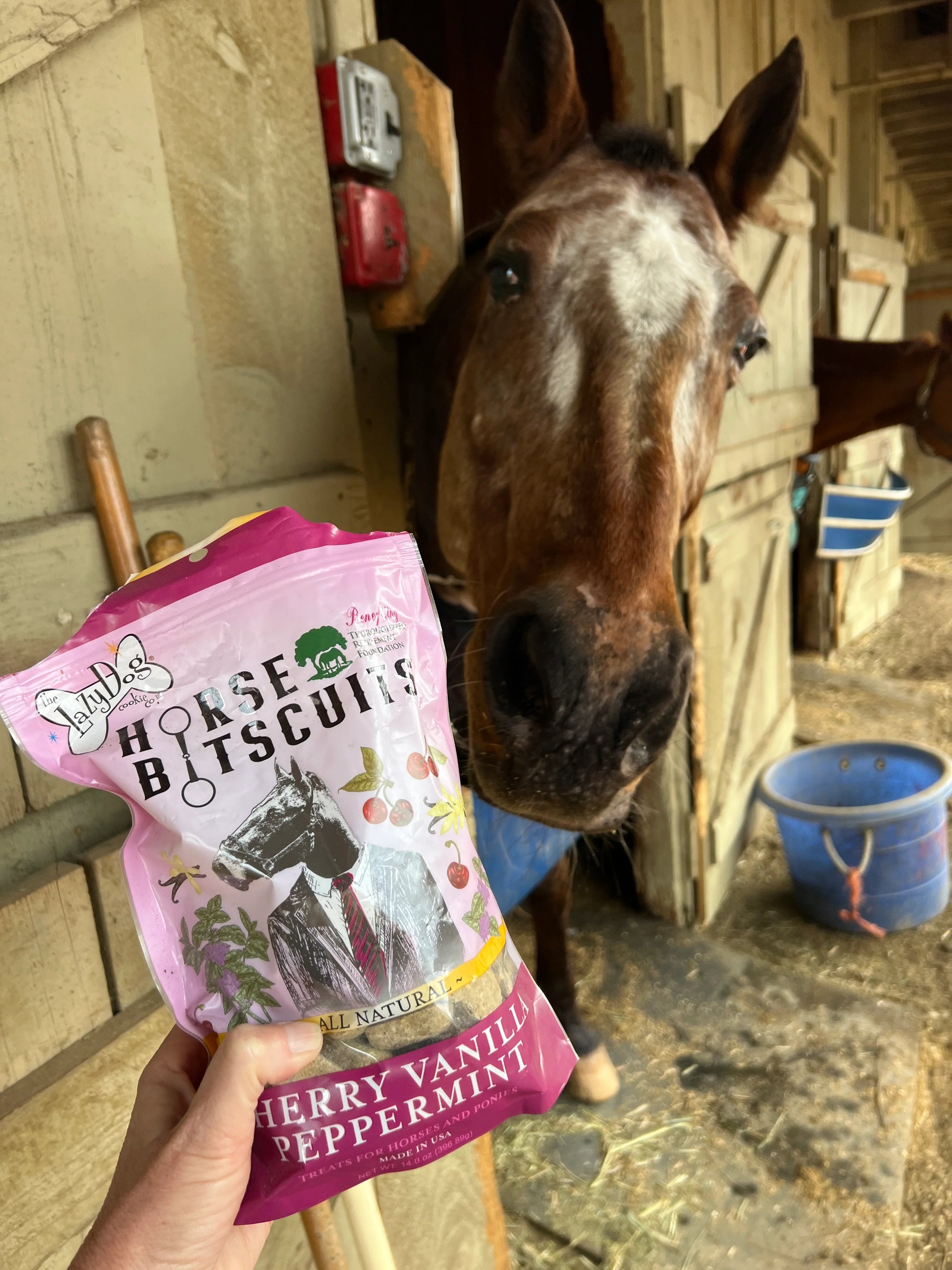 Lazy Dog Cookie Co. Horse Biscuits Cherry Vanilla Peppermint