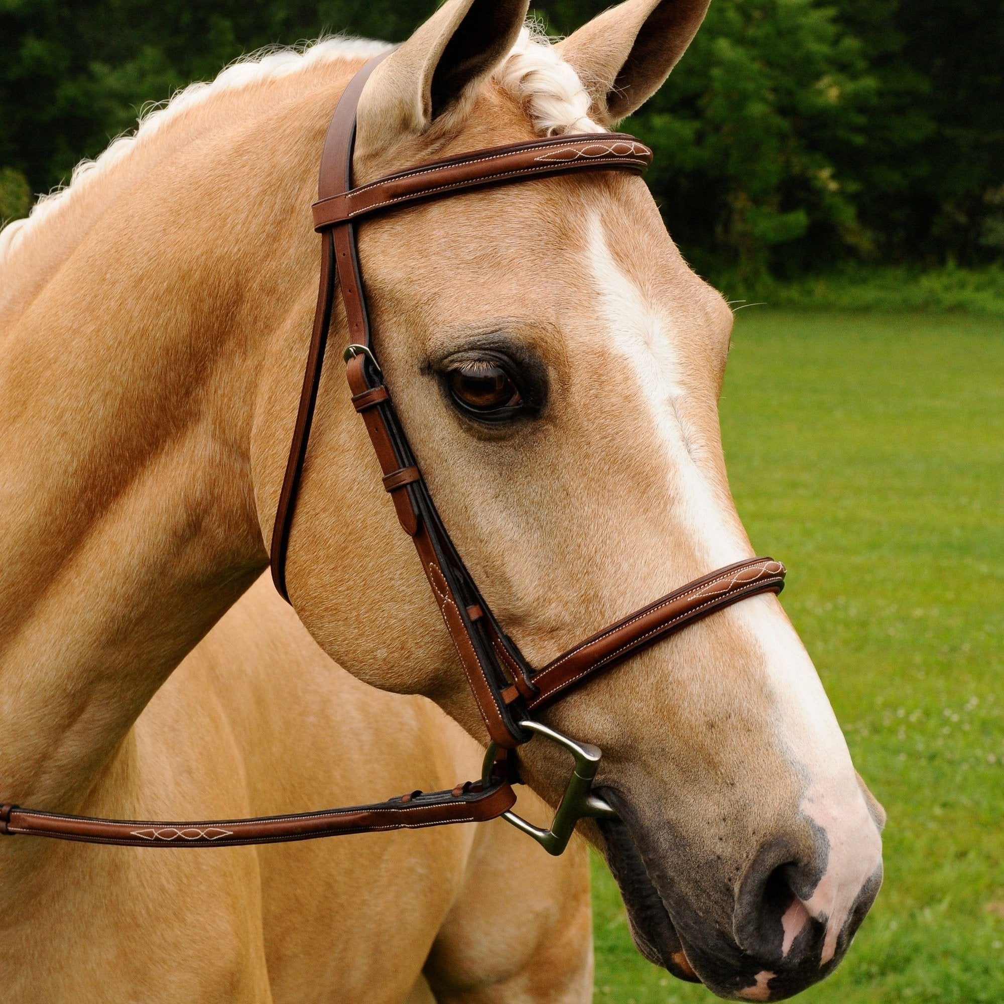 ADT Tack Imperial Bridle w/Raised Fancy Laced Reins, Brown