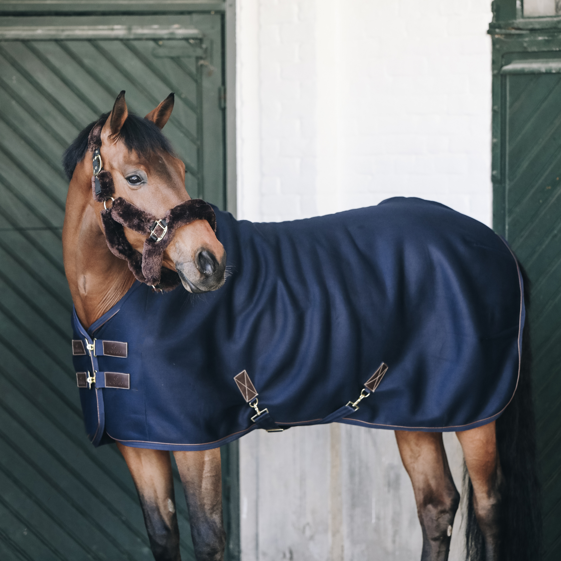 Kentucky Horsewear 3D Spacer Cooler Sheet