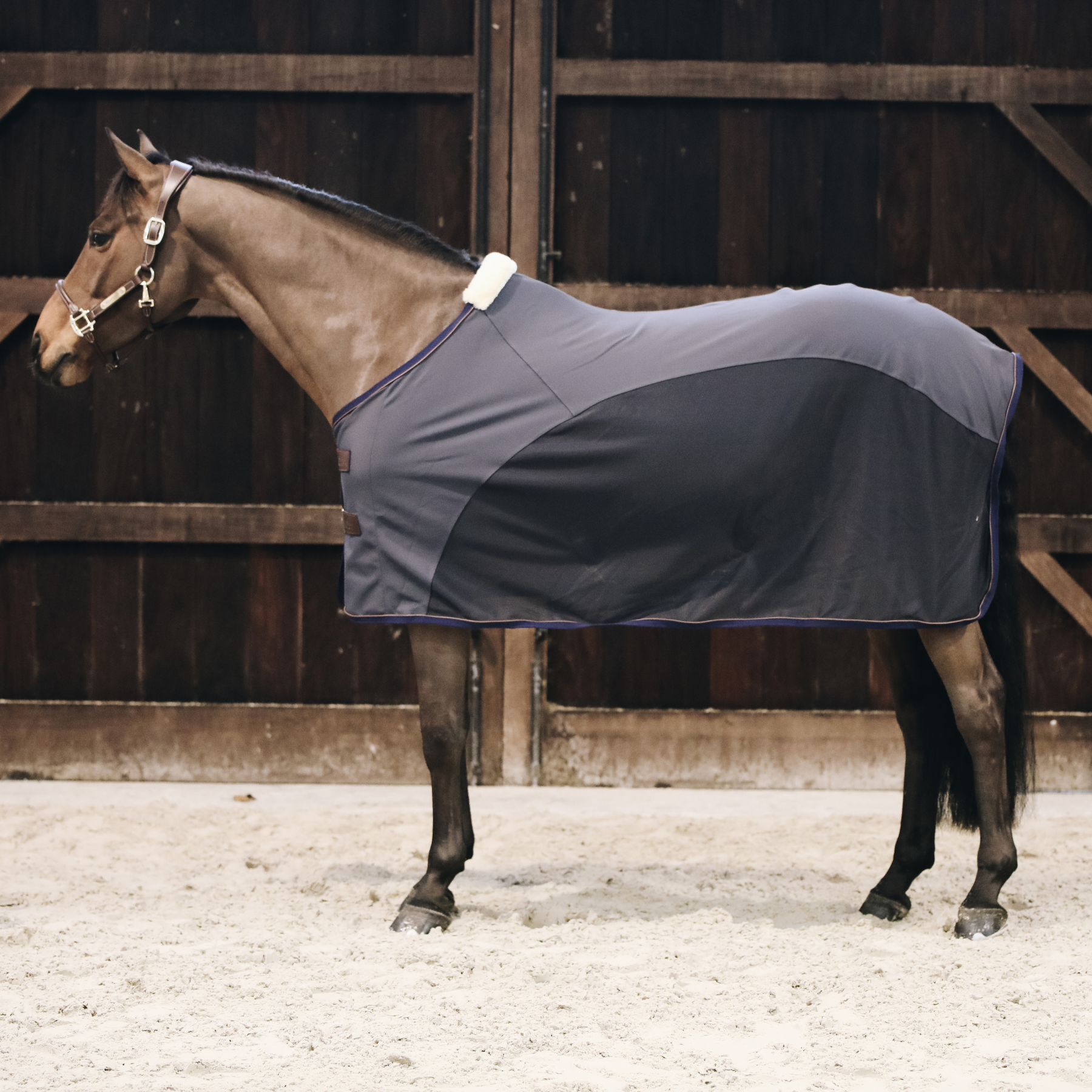 Kentucky Horsewear Cooler Sheet Softshell