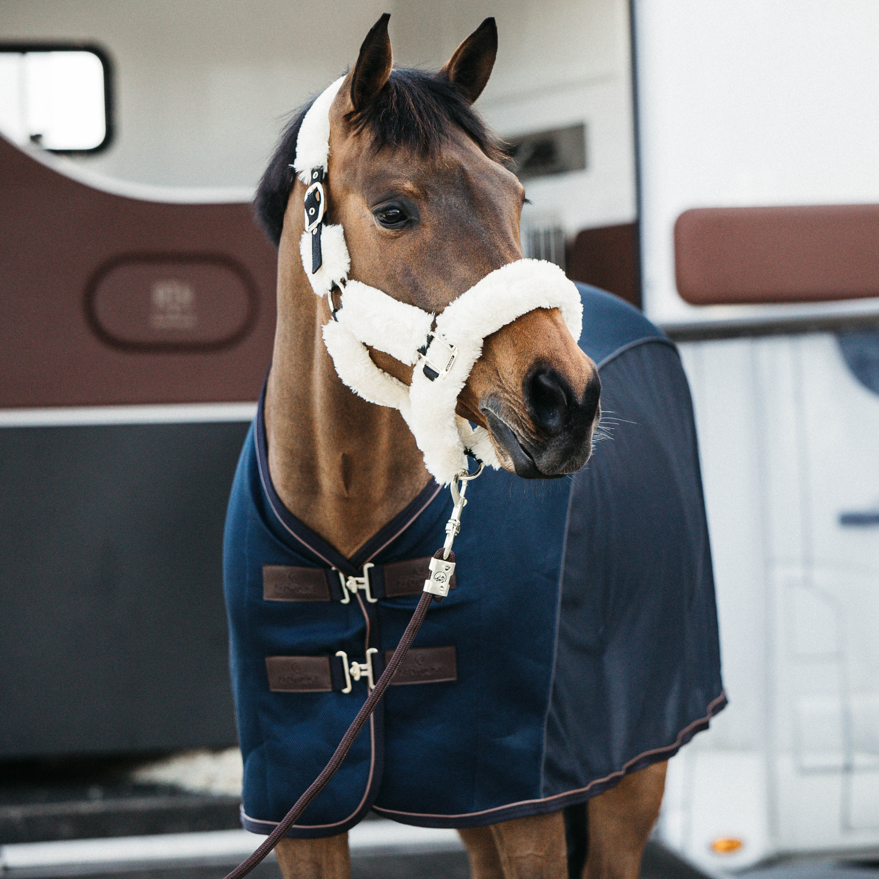 Kentucky Horsewear Mesh Combo Cooler Sheet