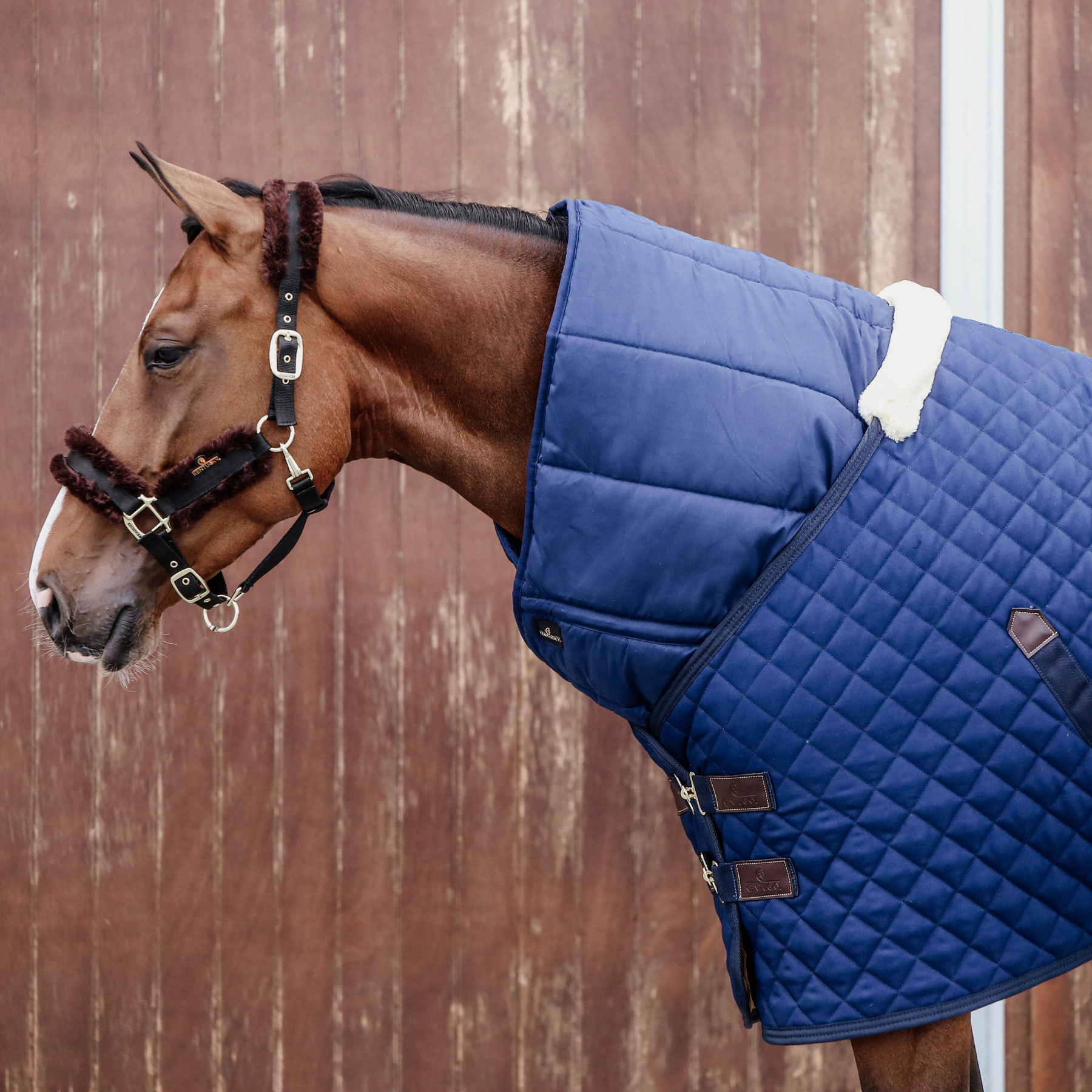 Kentucky Horsewear Horse Duvet 300G