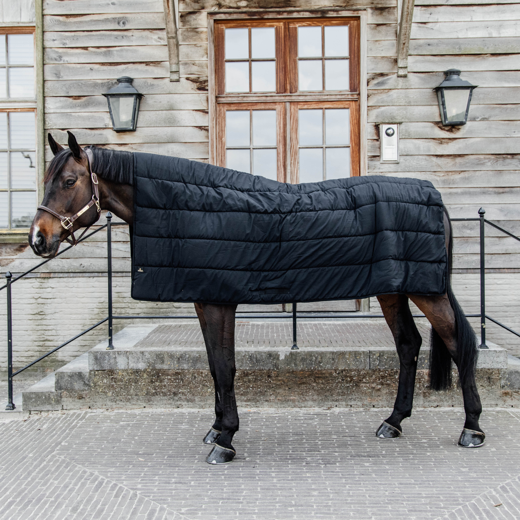 Kentucky Horsewear Horse Duvet 300G
