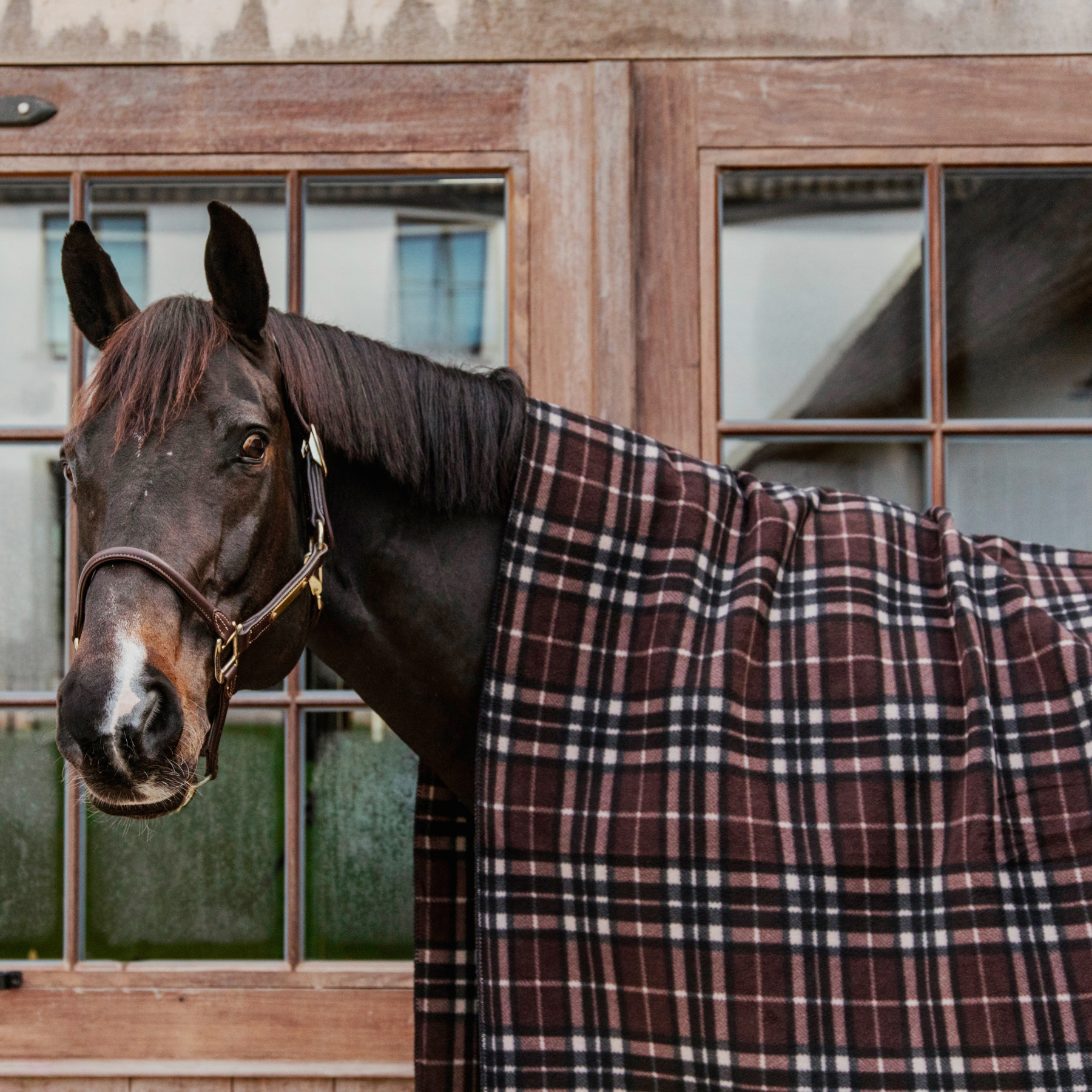 Kentucky Horsewear Heavy Fleece Rug Square, Check Printing