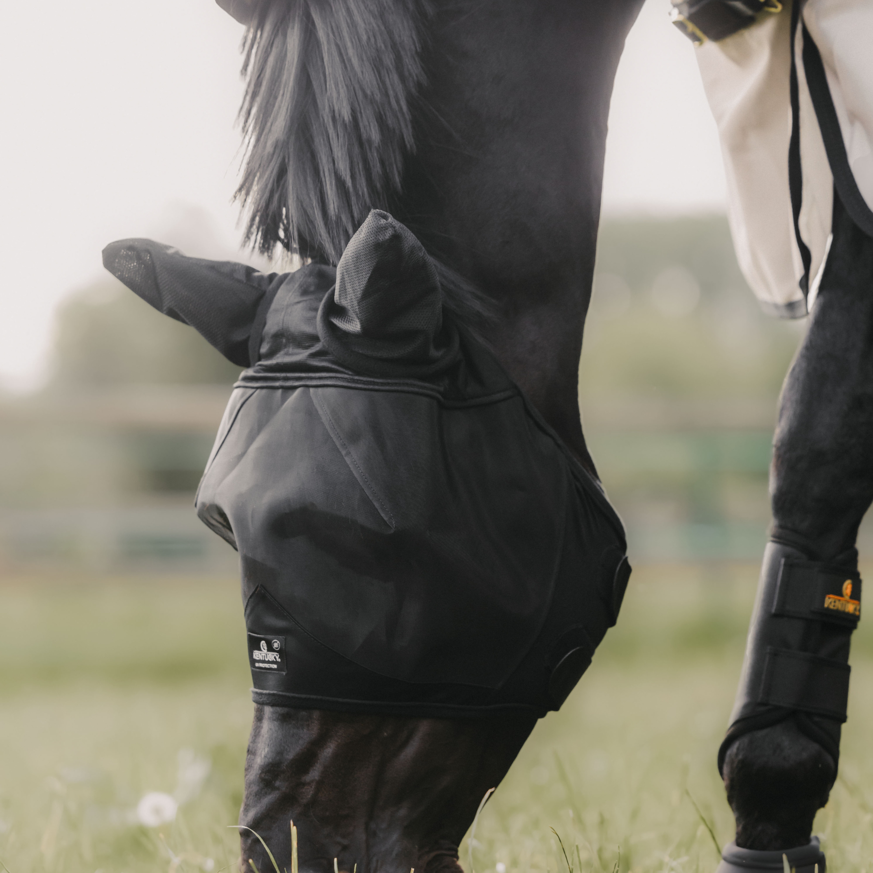 Kentucky Horsewear Fly Mask Classic, Black