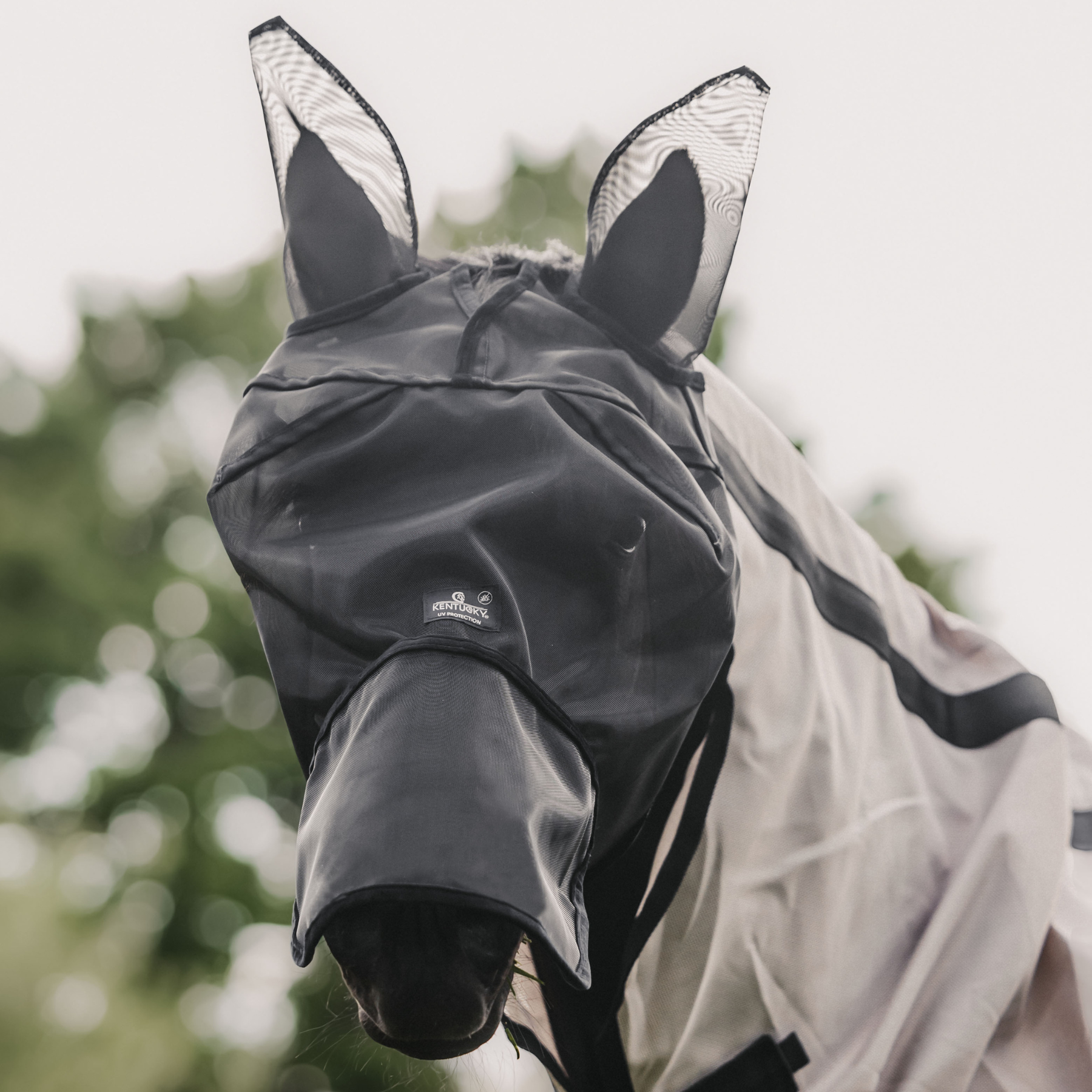 Kentucky Horsewear Fly Mask Classic with Ears and Nose, Black