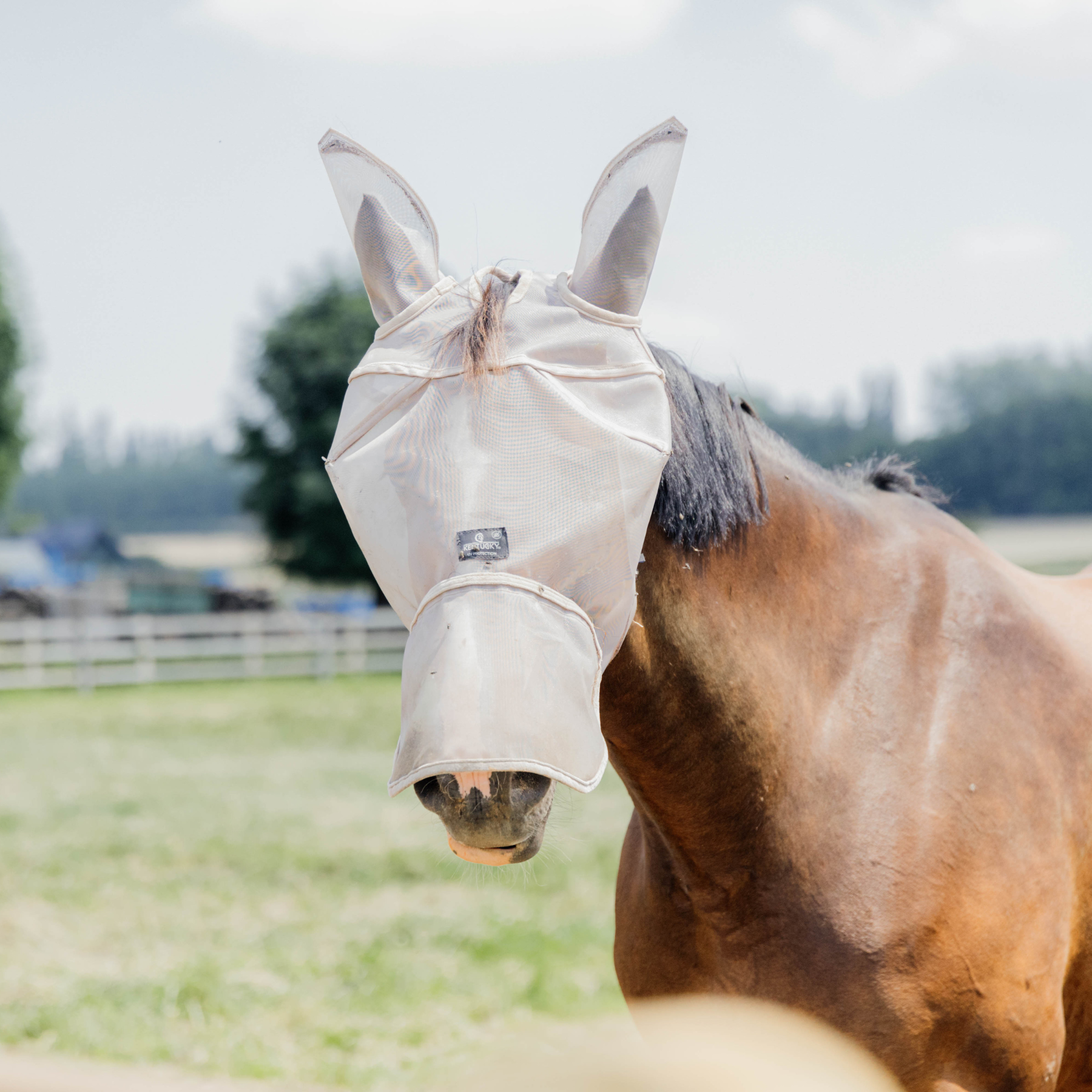Kentucky Horsewear Fly Mask Classic with Ears and Nose, Beige