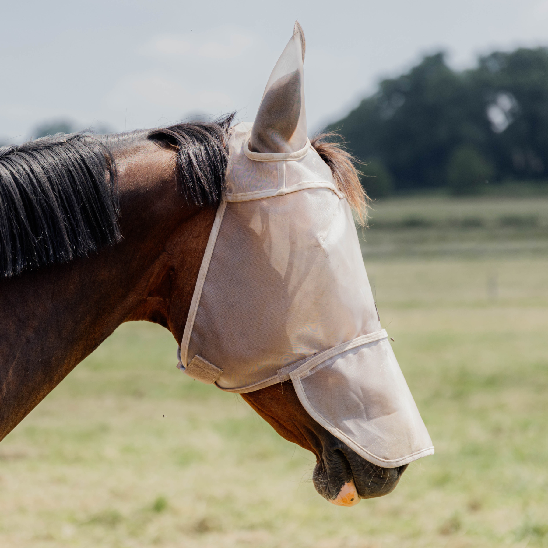 Kentucky Horsewear Fly Mask Classic with Ears and Nose, Beige