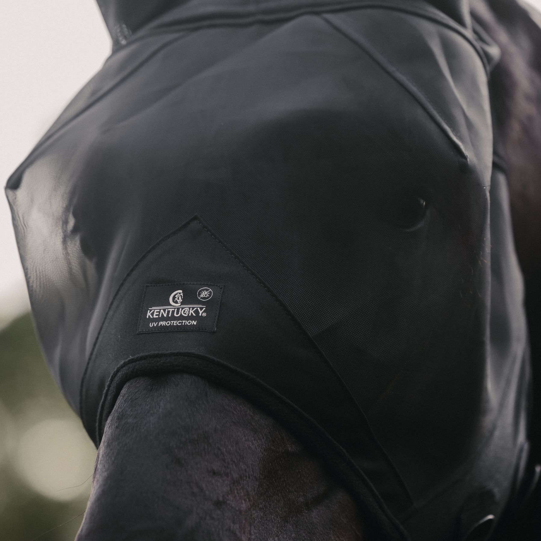Kentucky Horsewear Fly Mask Classic, Black