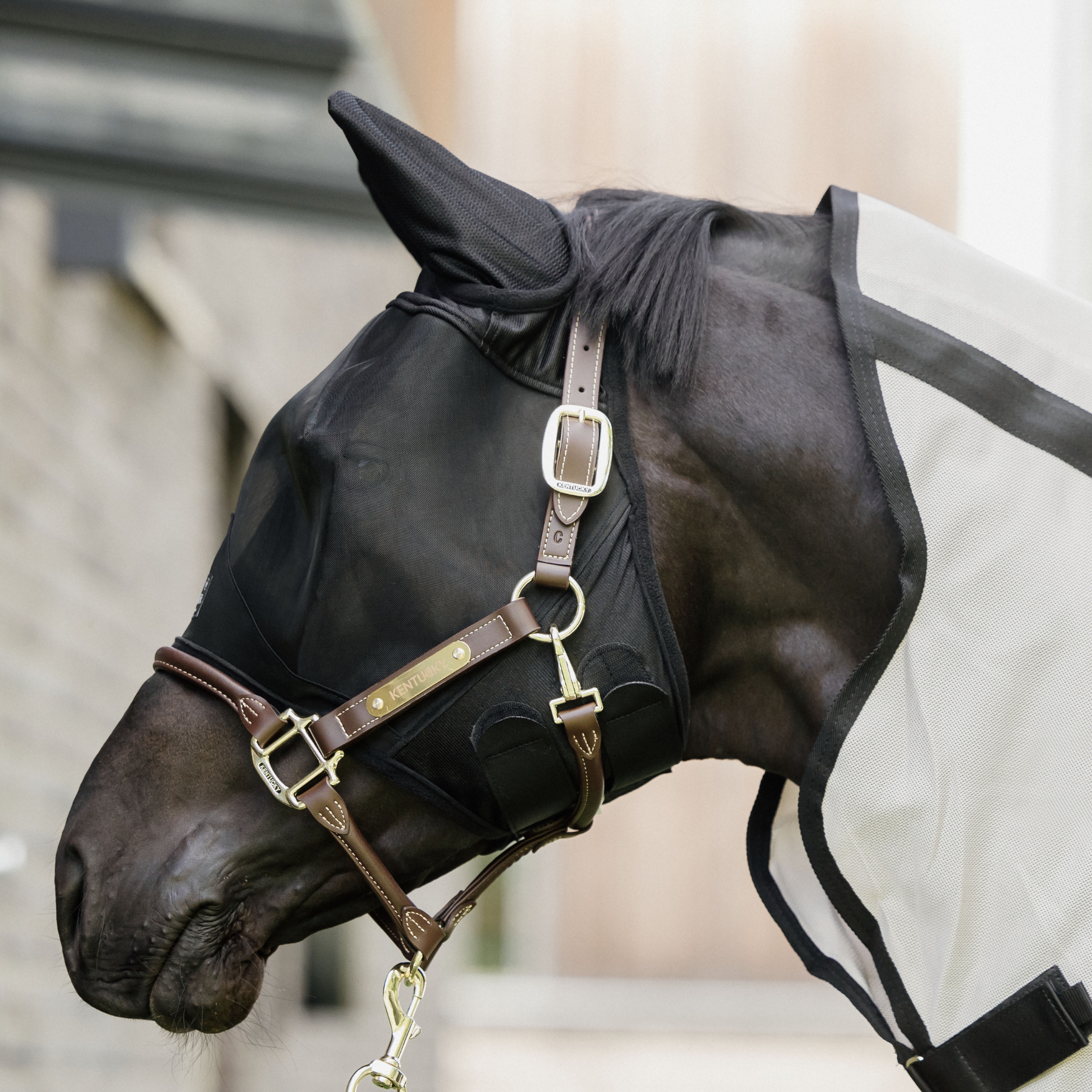 Kentucky Horsewear Fly Mask Classic, Black
