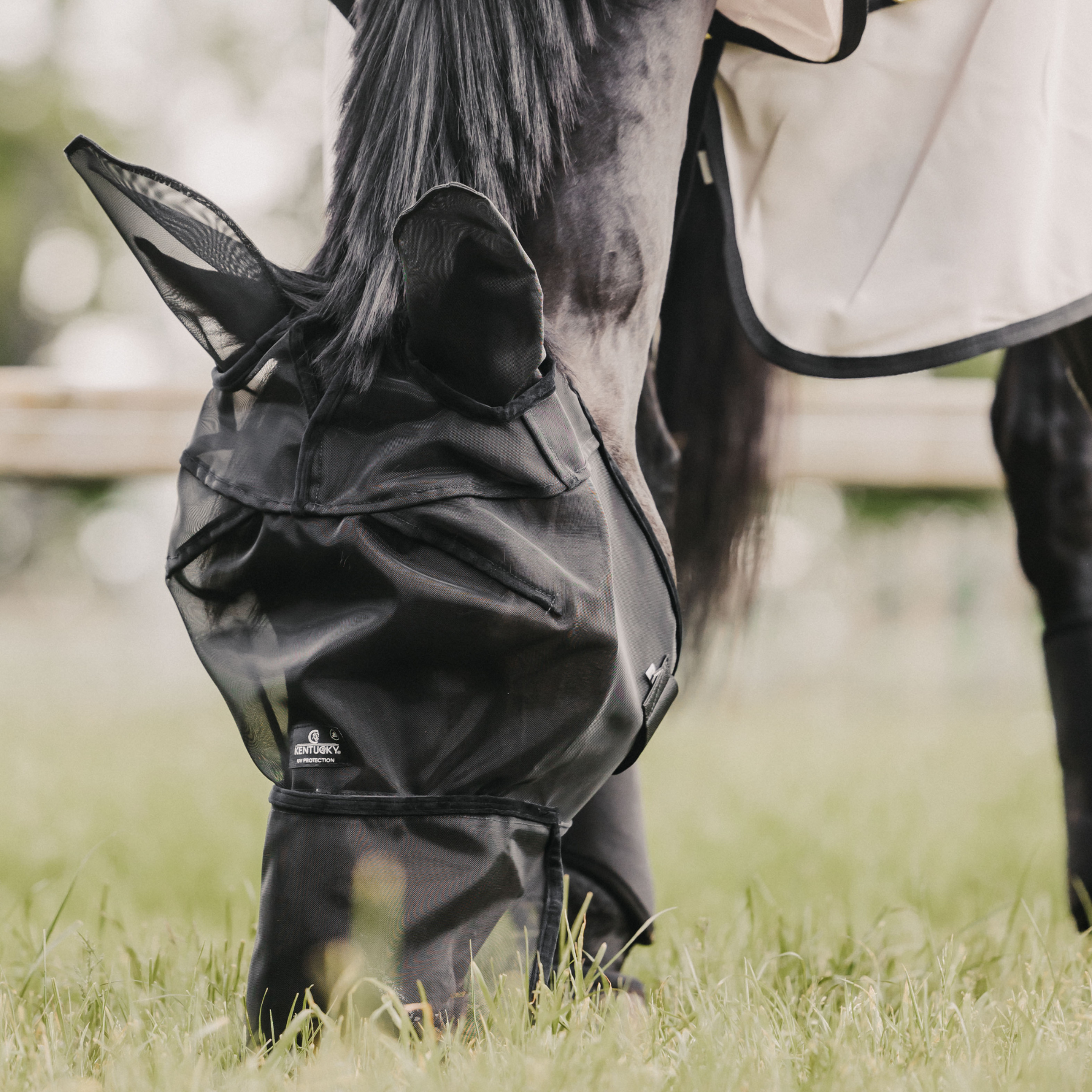 Kentucky Horsewear Fly Mask Classic with Ears and Nose, Black