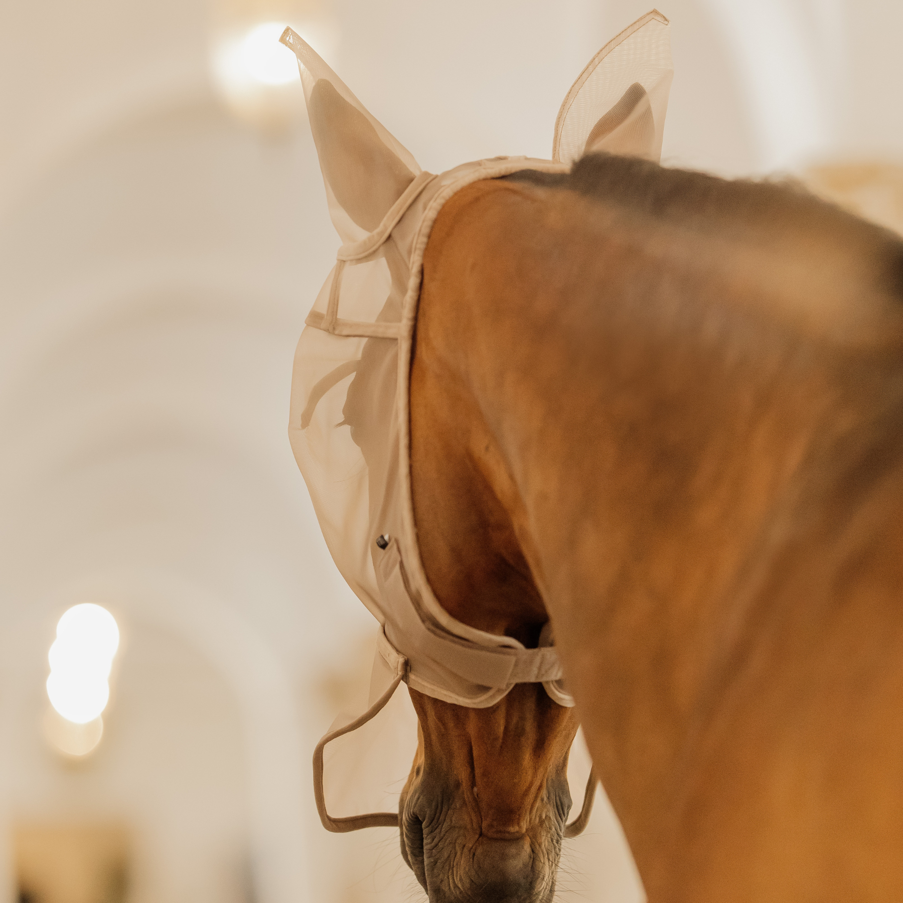 Kentucky Horsewear Fly Mask Classic with Ears and Nose, Beige