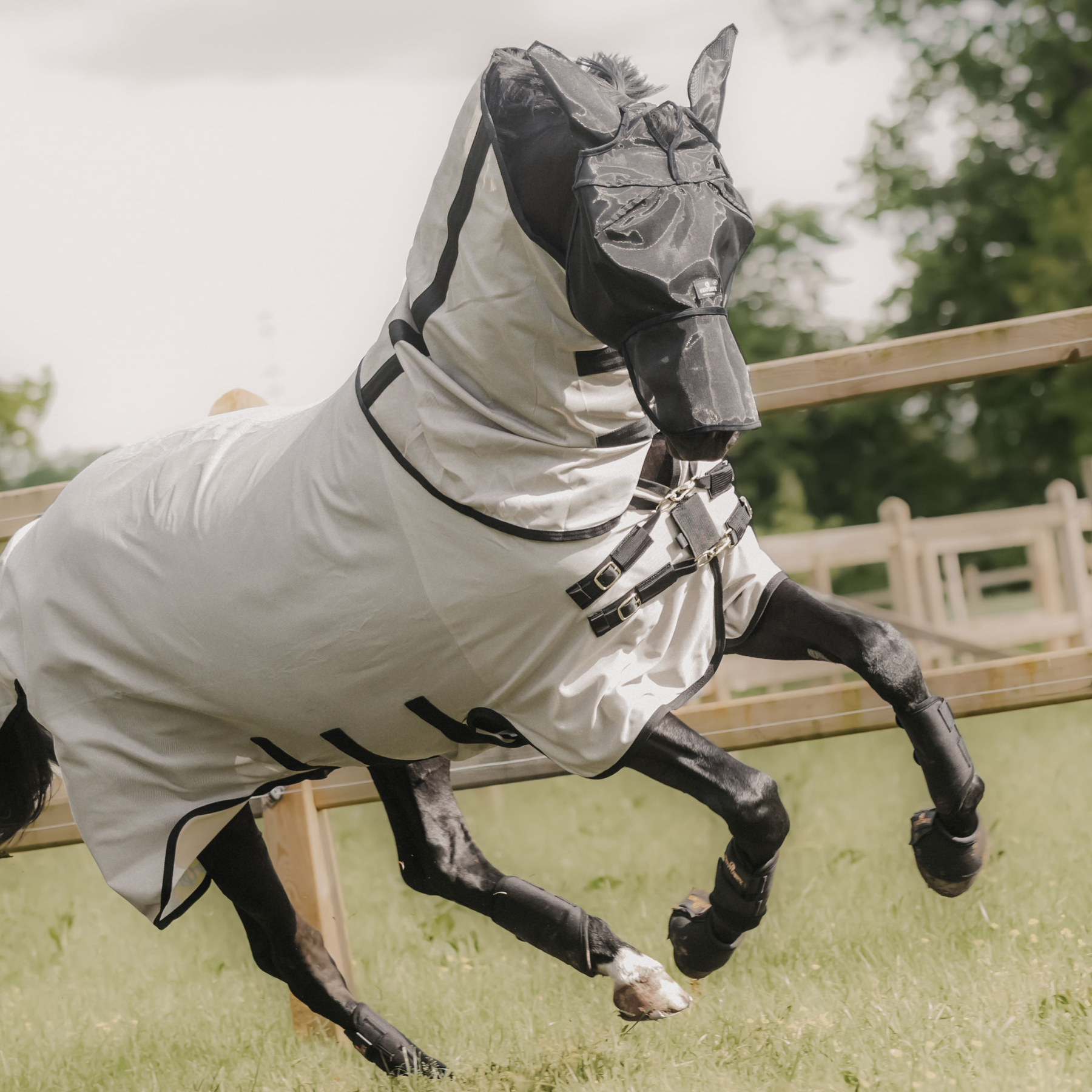 Kentucky Horsewear Fly Mask Classic with Ears and Nose, Black