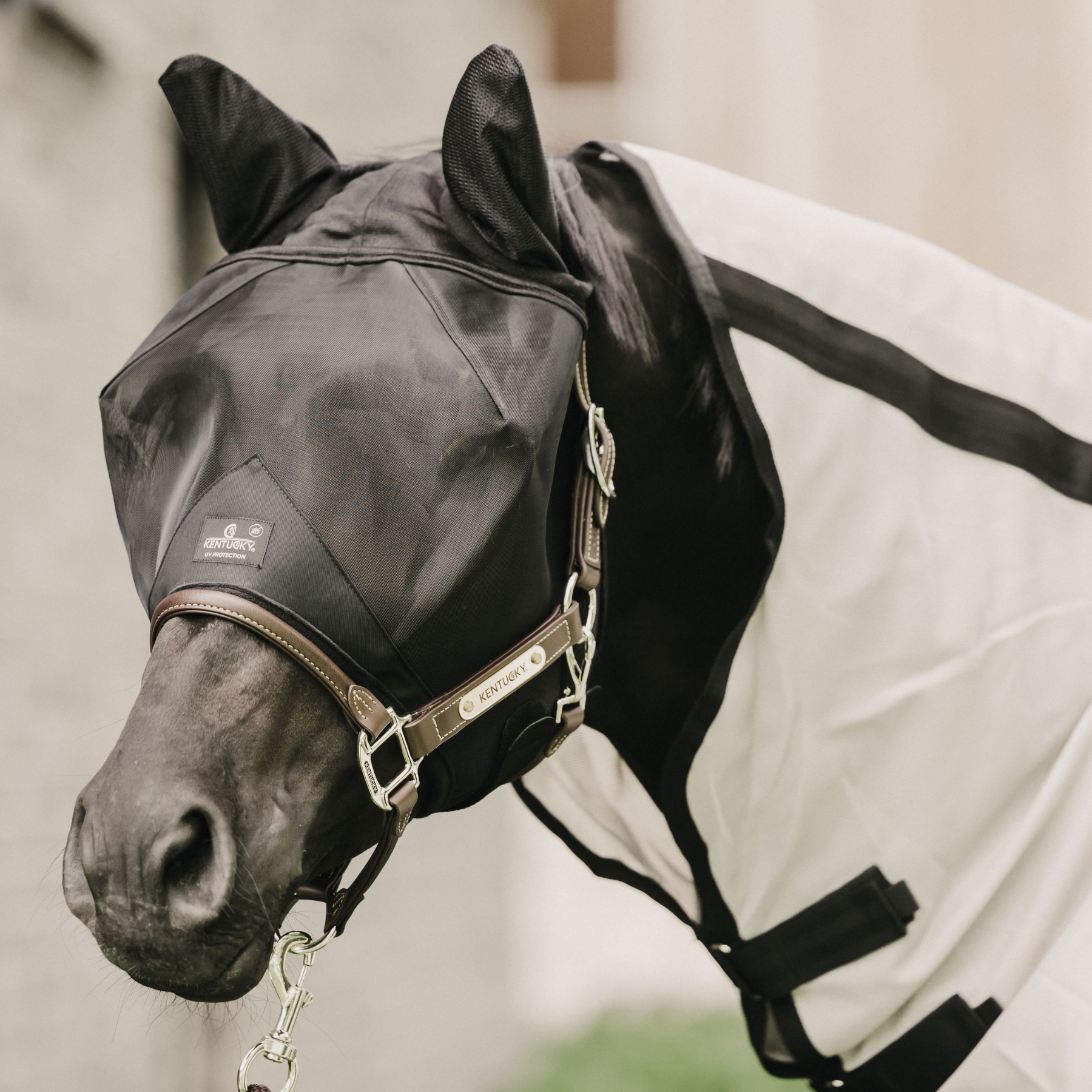 Kentucky Horsewear Fly Mask Classic, Black