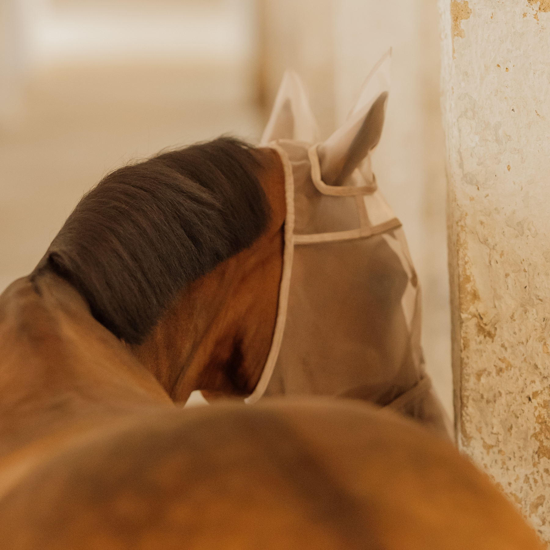 Kentucky Horsewear Fly Mask Classic with Ears and Nose, Beige