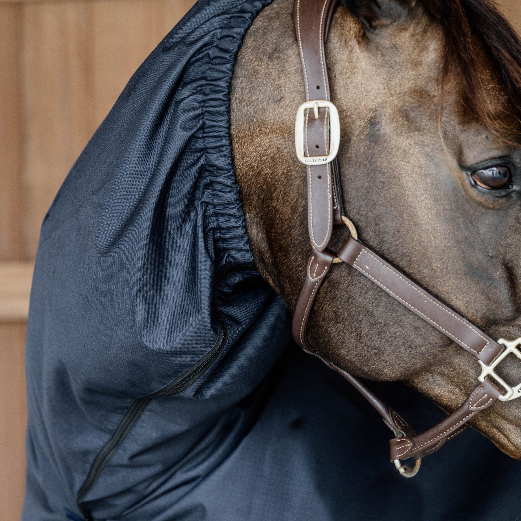 Kentucky Horsewear Waterproof Horse Scarf Classic, Navy