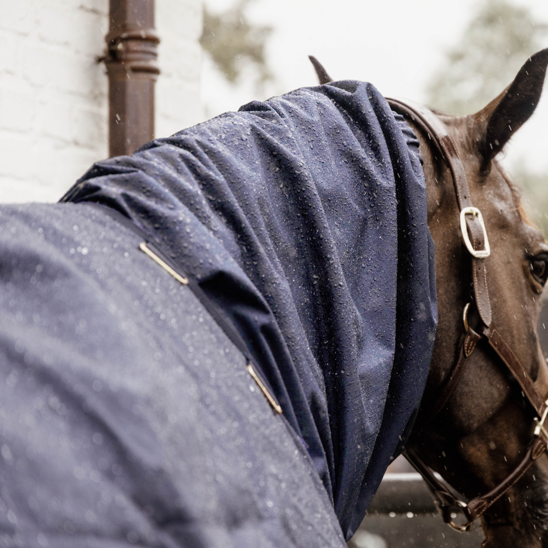 Kentucky Horsewear Waterproof Horse Scarf Classic, Navy